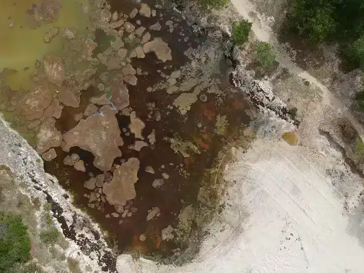 Een detail van beschimmelde klei